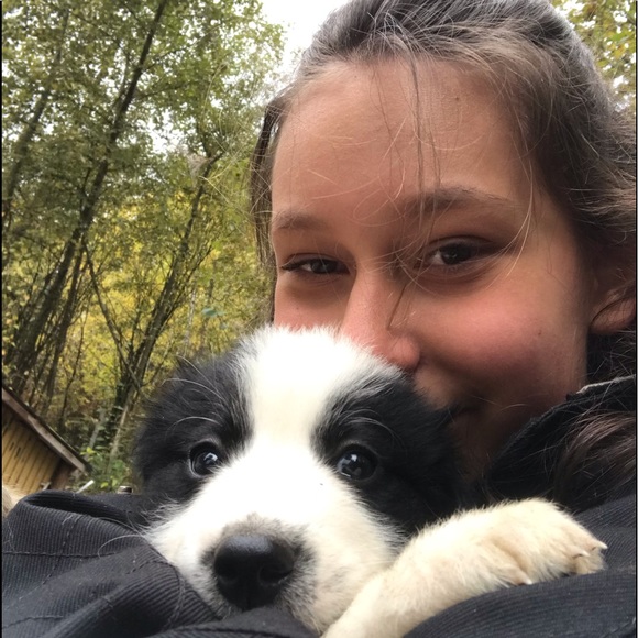 Meet your Posher, Olivia - Picture 1 of 1